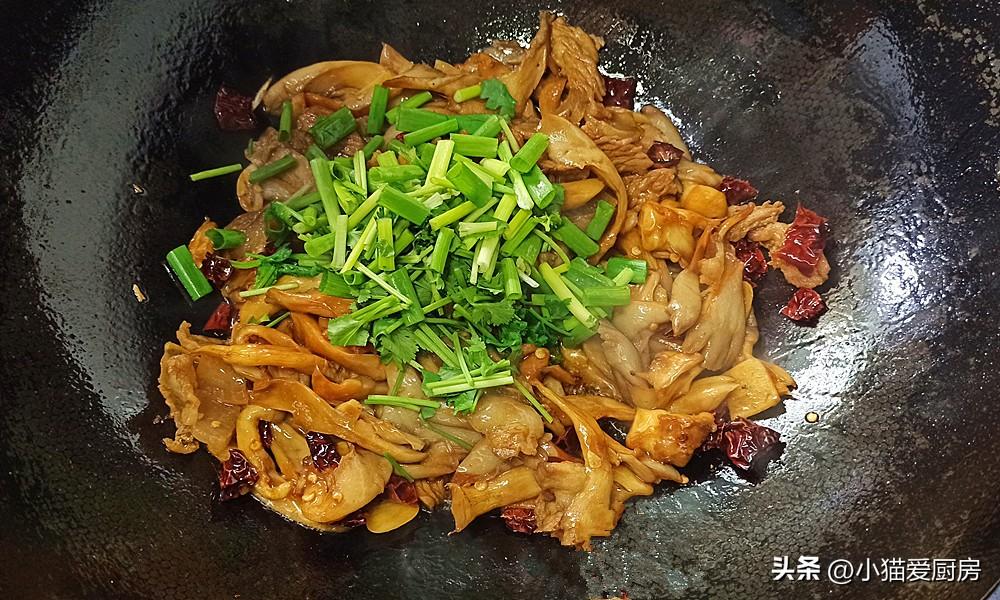 圖片[13]-【小炒平菇】做法步驟圖 成菜鮮香滑嫩特別爽口 是不錯的下飯-起舞食譜網