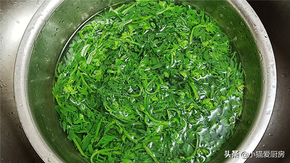 圖片[6]-【涼拌野豌豆苗】做法步驟圖 口感鮮嫩 味道鮮美-起舞食譜網