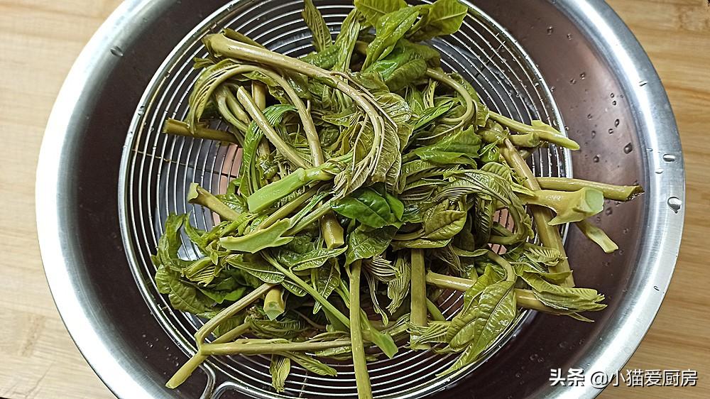 圖片[9]-【香椿芽炒臘肉】做法步驟圖 好吃又下飯 做一盤不夠吃-起舞食譜網