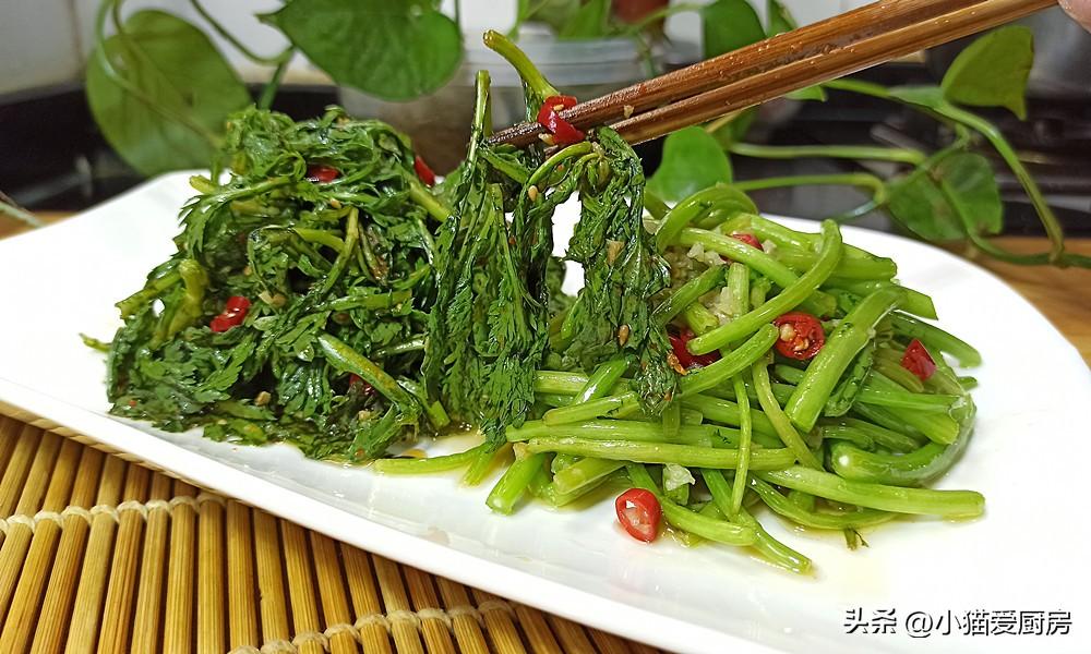 圖片[10]-【茼蒿兩吃】做法步驟圖 不同味道 特別爽口解膩-起舞食譜網