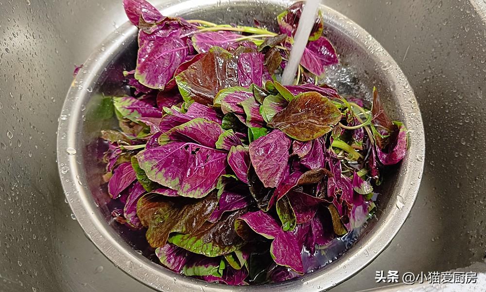 圖片[4]-【涼拌莧菜】做法步驟圖 特別爽口 非常適合夏天吃-起舞食譜網(wǎng)