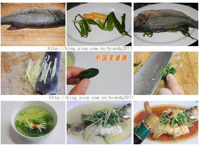 清蒸鱸魚（21）