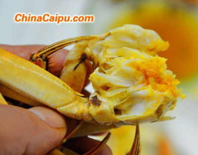 清蒸陽澄湖大閘蟹