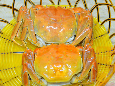 清蒸陽澄湖大閘蟹