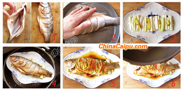 清蒸鱸魚（18）