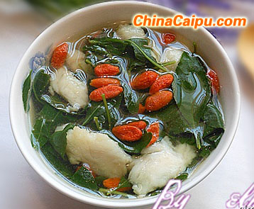 枸杞葉魚片湯的做法 枸杞葉魚片湯怎么做-起舞食譜網(wǎng)
