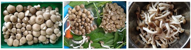 圖片[2]-酸辣蘑菇湯的做法,酸辣蘑菇湯怎么做-起舞食譜網