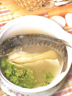 起舞食譜網(wǎng)-三色野生斑的做法